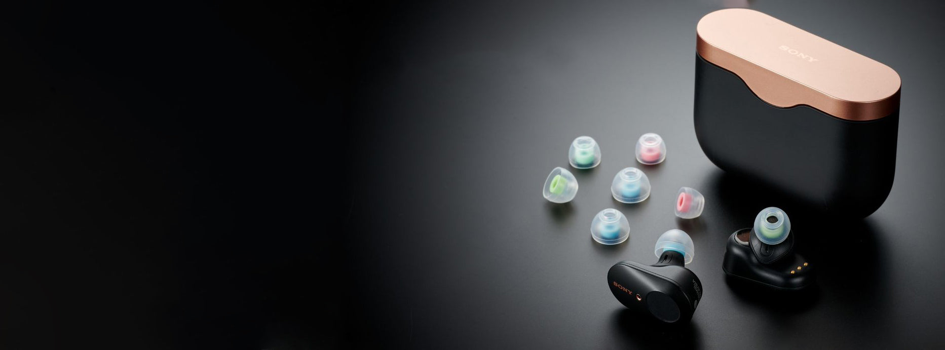 Eartips & Earpads