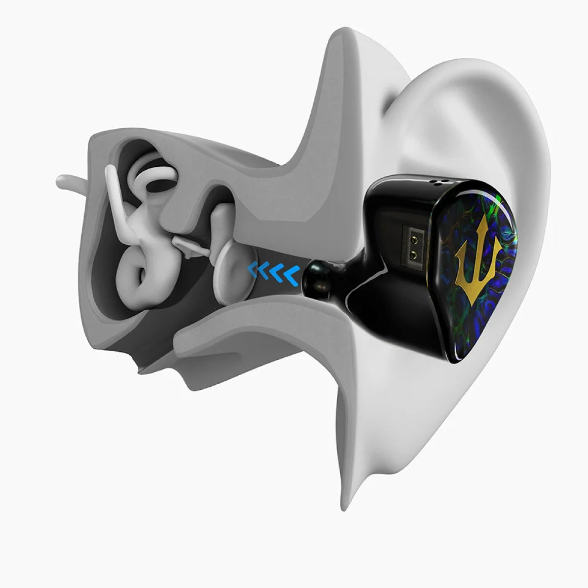 Headphone-Zone-Empire-Ears-Triton-Universal-IEM