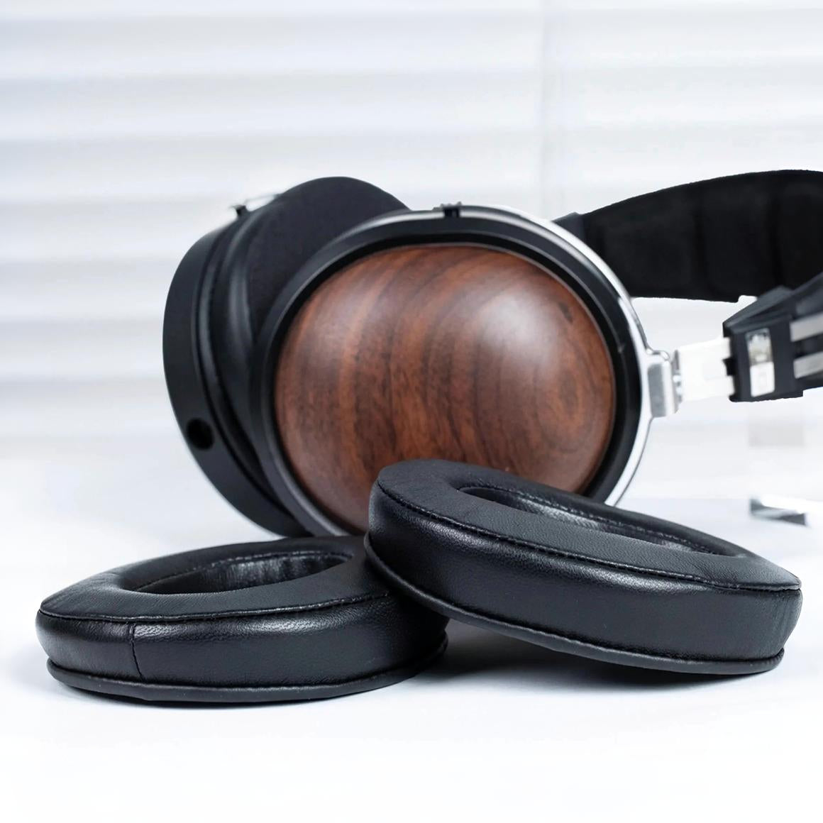 Headphone-Zone-FiiO-HS-FT1A