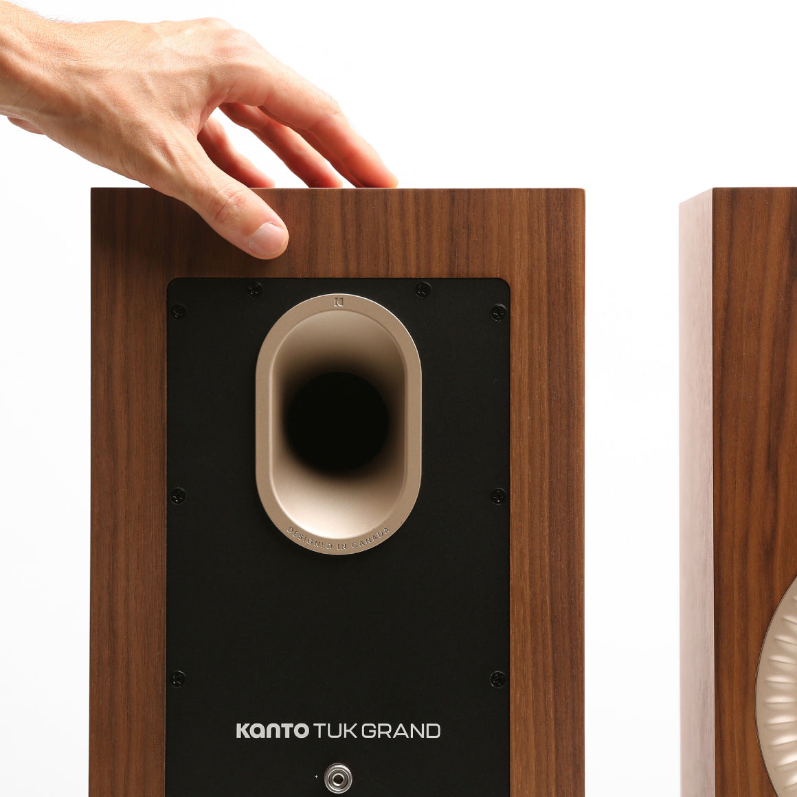 #Color_Walnut Rose Gold
