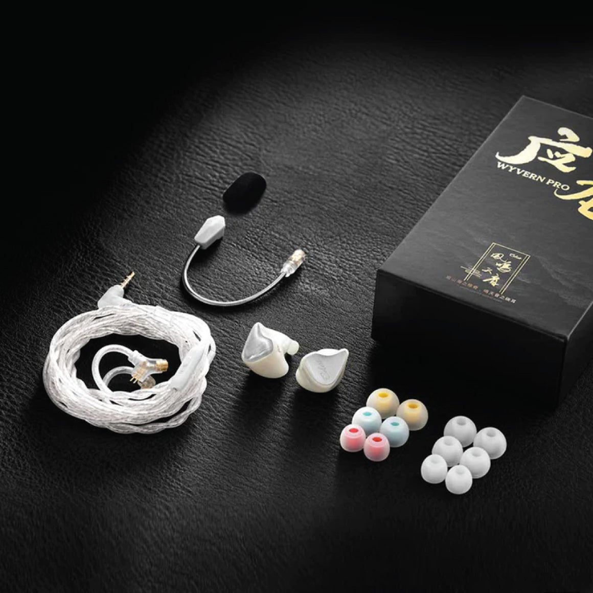 #Type_Dual Mic