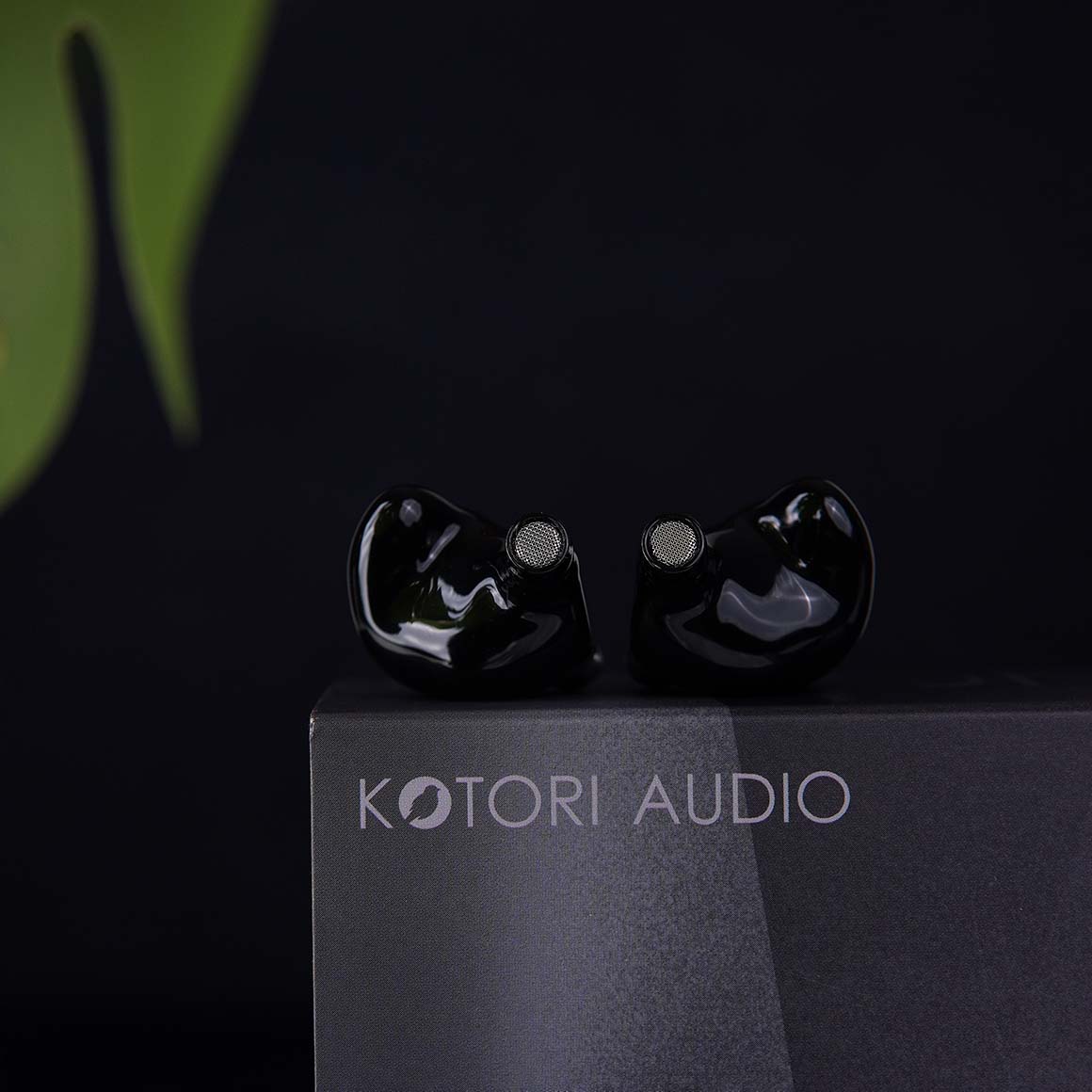 Headphone-Zone-Kotori-Audio-Zephyr