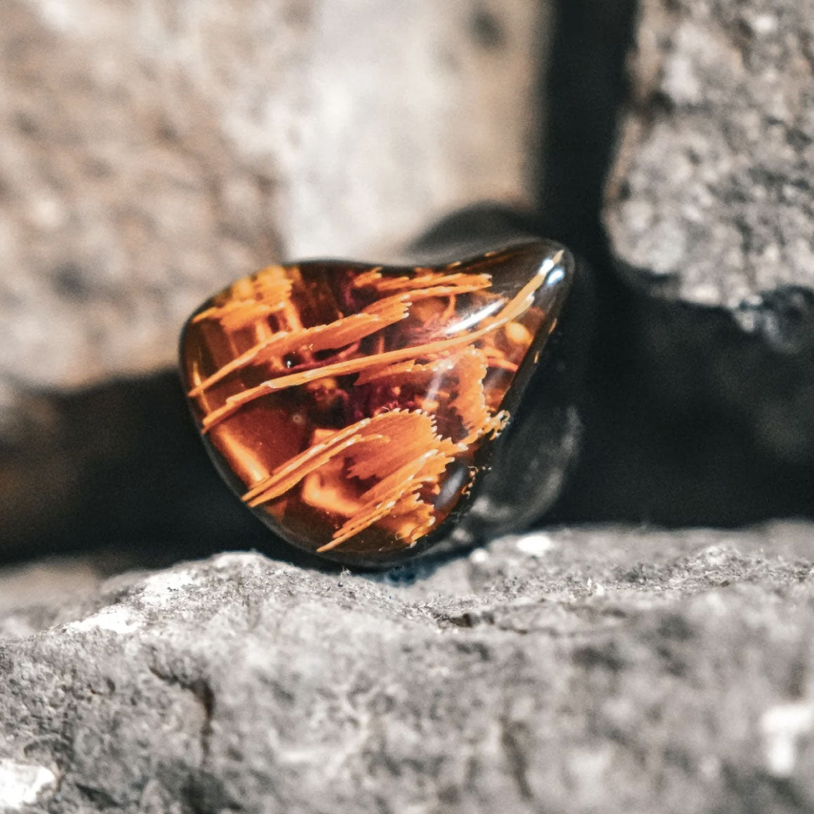 Headphone-Zone-Noble-Audio-Spartacus