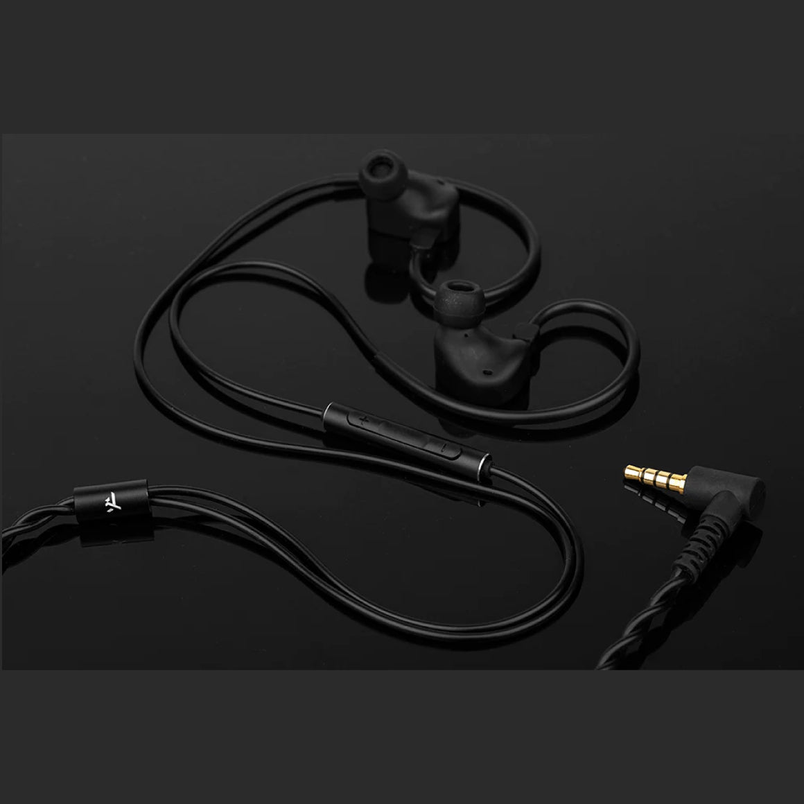 #type_With Mic