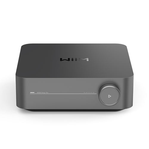 Headphone-Zone-Wiim-Amp-Space-Gray