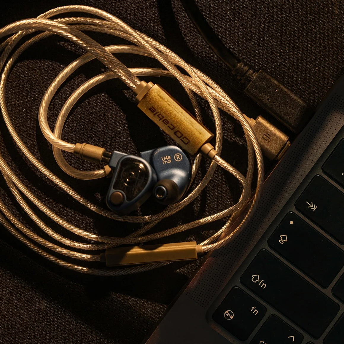 Headphone-Zone-iFi-Audio-GO-Cable