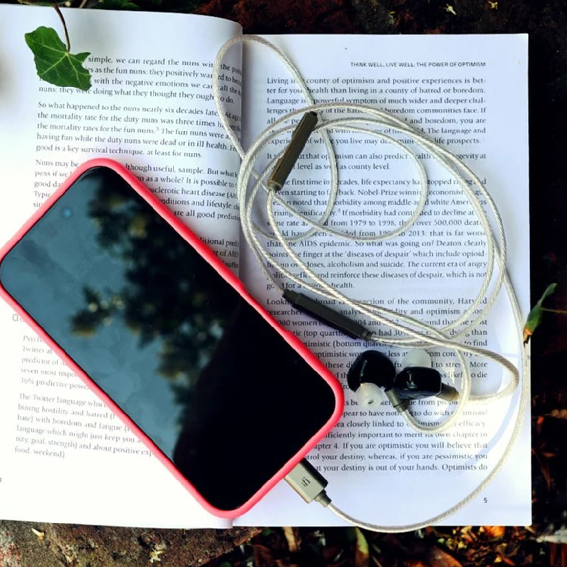 Headphone-Zone-iFi-Audio-GO-Cable