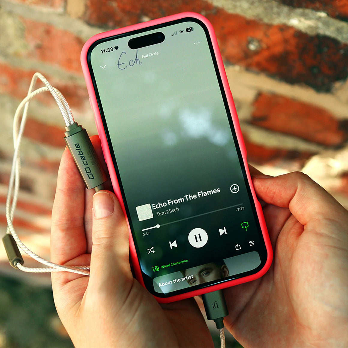 Headphone-Zone-iFi-Audio-GO-Cable