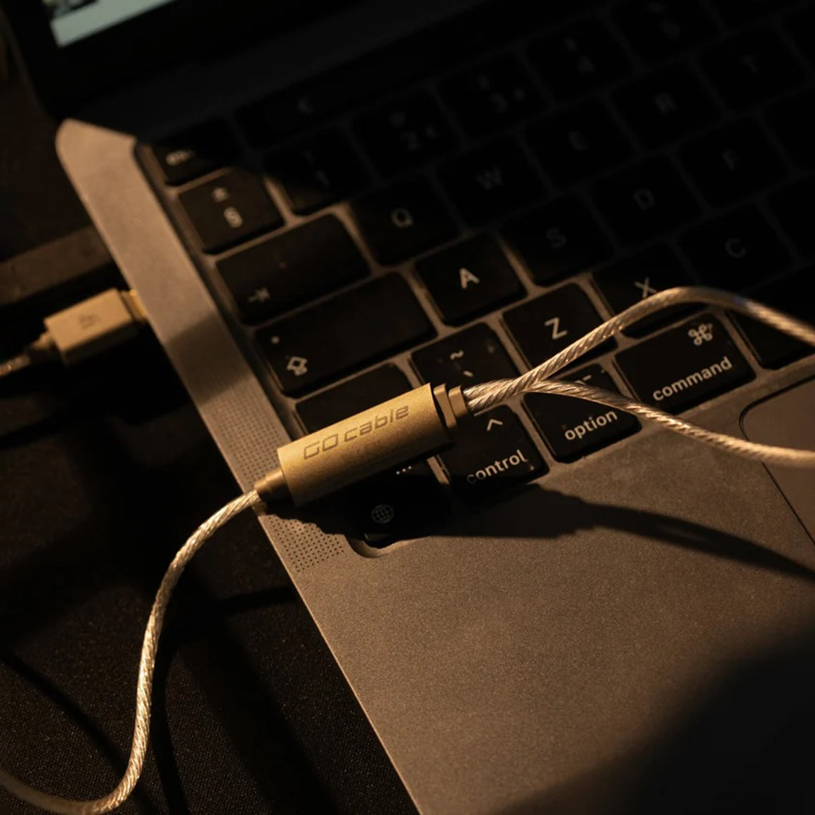 Headphone-Zone-iFi-Audio-GO-Cable