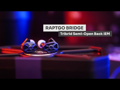 Headphone-Zone-RAPTGO-Bridge