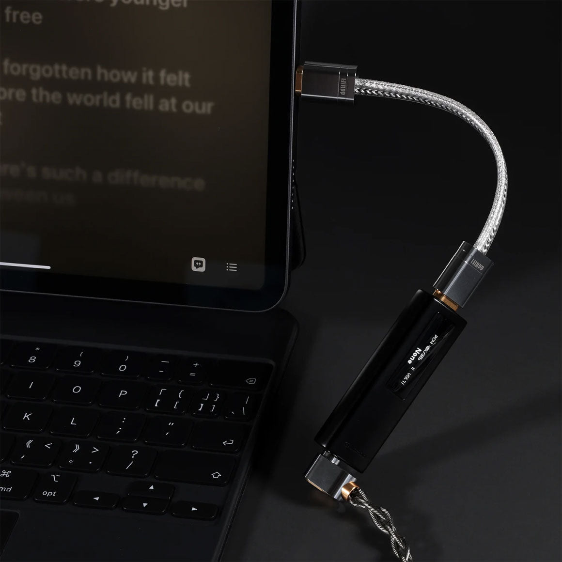 Headphone-Zone-ddHiFi-TC09S USB-C to USB-C OTG Cable-10cm