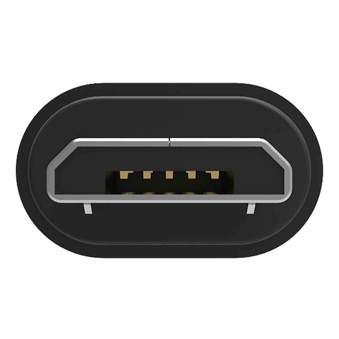 iFi Audio - Audiophile OTG Cable (Unboxed)