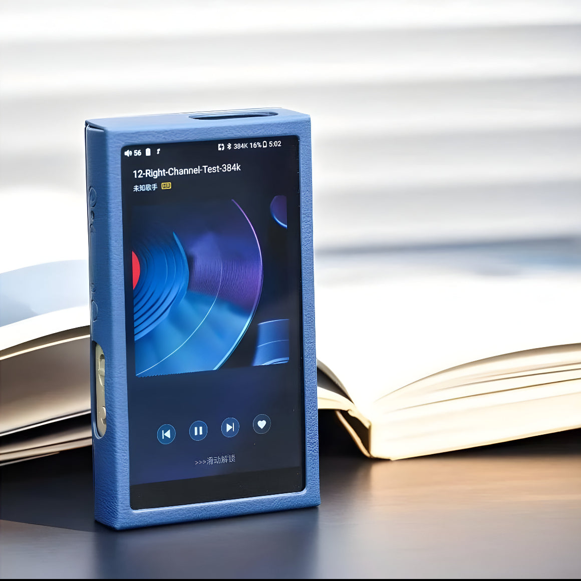 Buy the FiiO SK-M21 Leather Case for M21