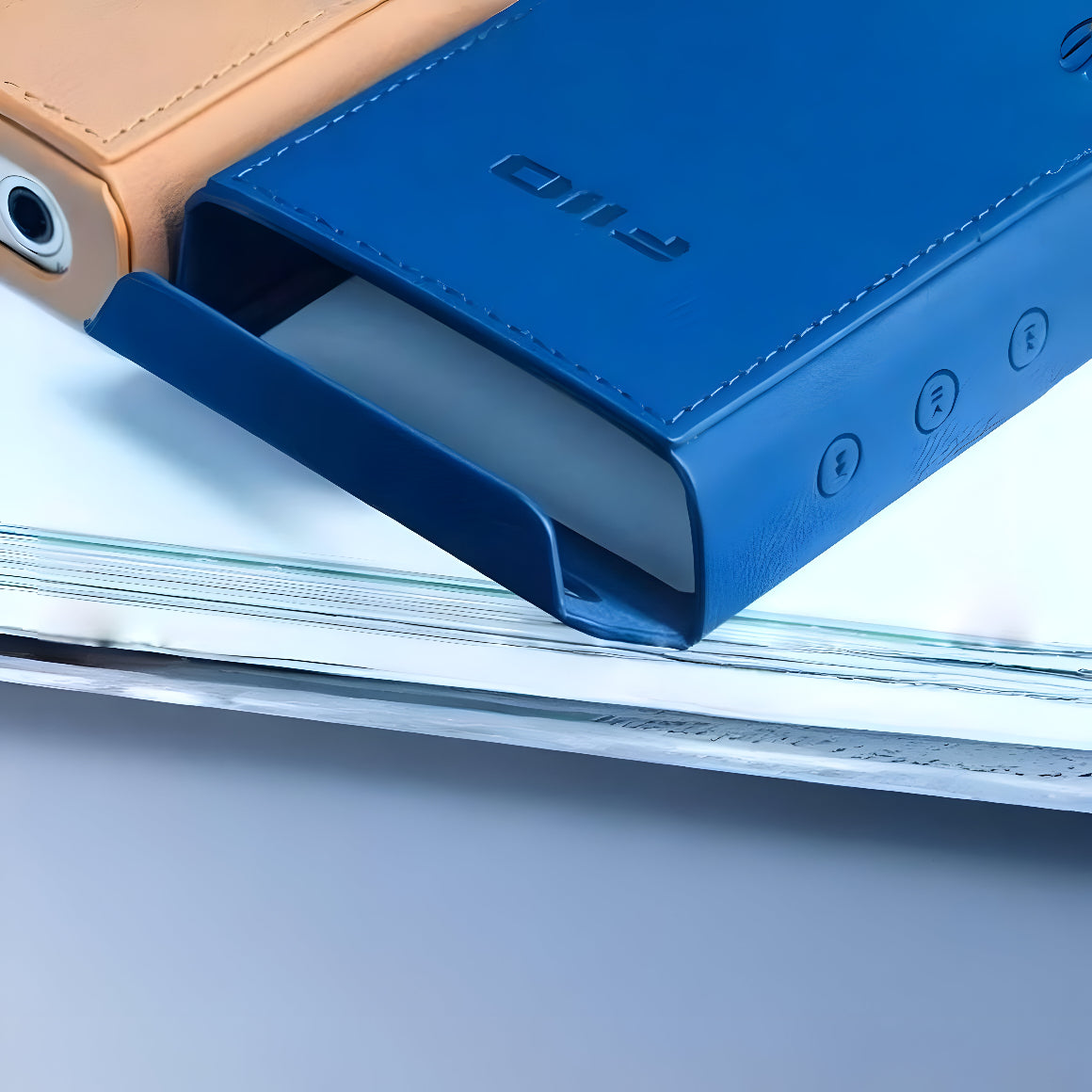 Buy the FiiO SK-M21 Leather Case for M21