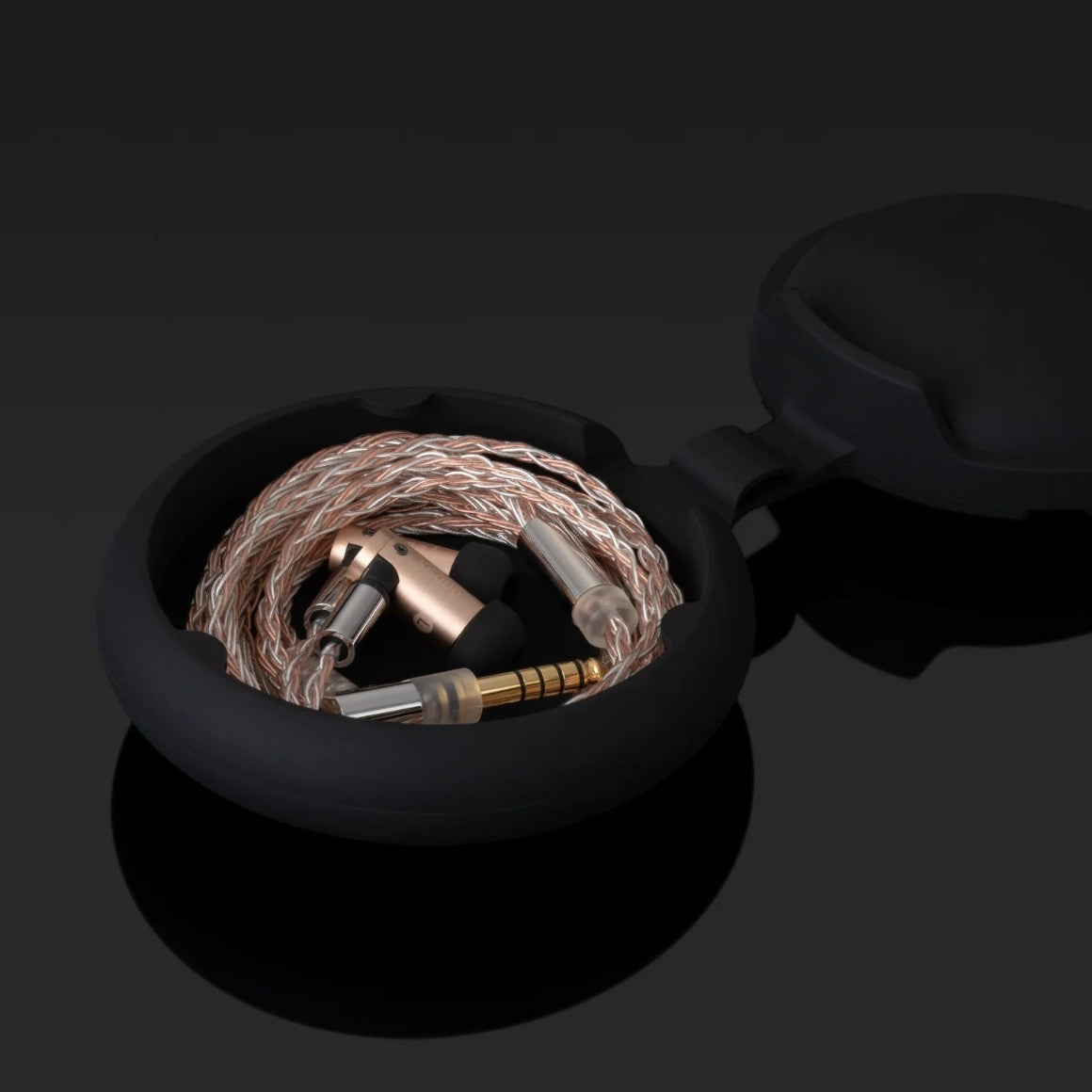 final　S6000 Buy the Final Audio S6000 IEM