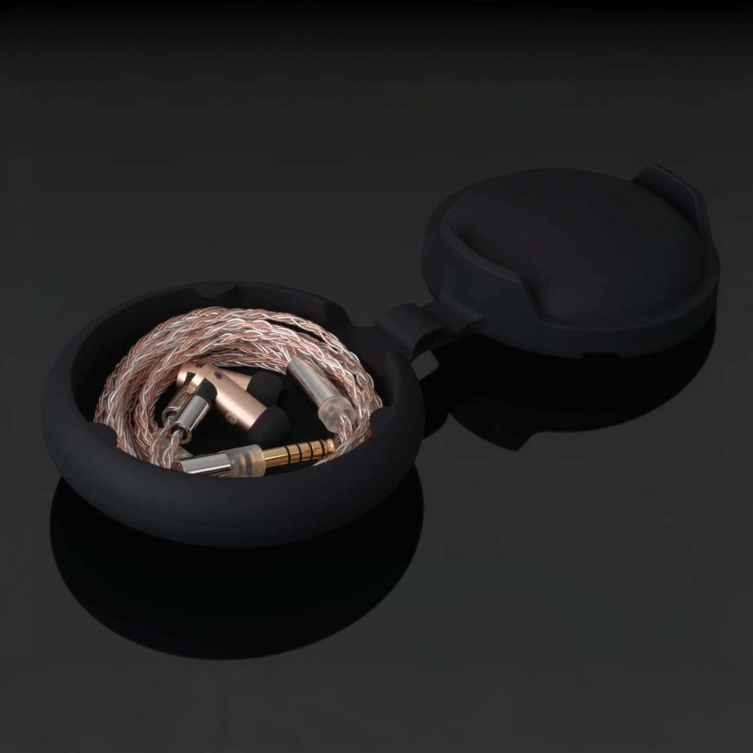 final　S6000 Buy the Final Audio S6000 IEM
