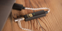 iFi Audio - GO Link