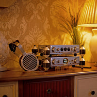 iFi Audio - GO Link