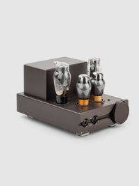 Feliks Audio - Euforia Evo
