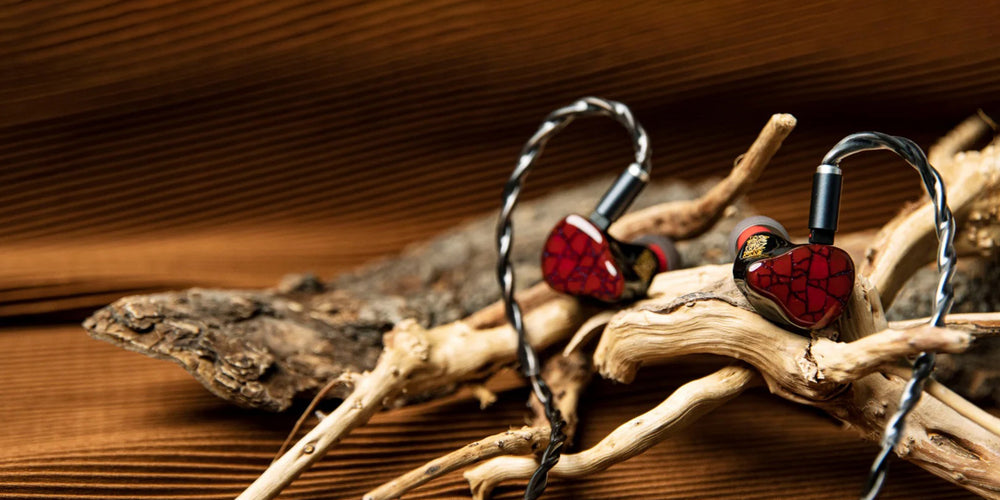 Discover Punch Audio IEMs