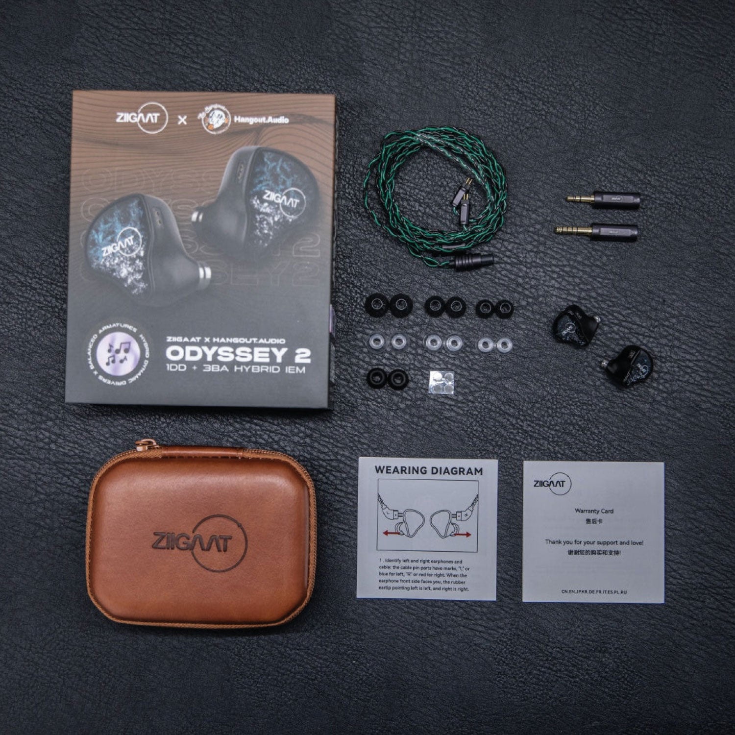 Buy the ZiiGaat x Hangout.Audio Odyssey 2 Hybrid Driver IEM