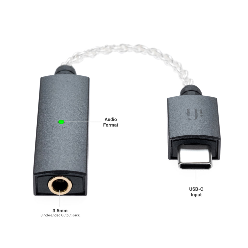 Sample Audio Link iFi Audio GO Link Hi-Res USB DAC/Amp