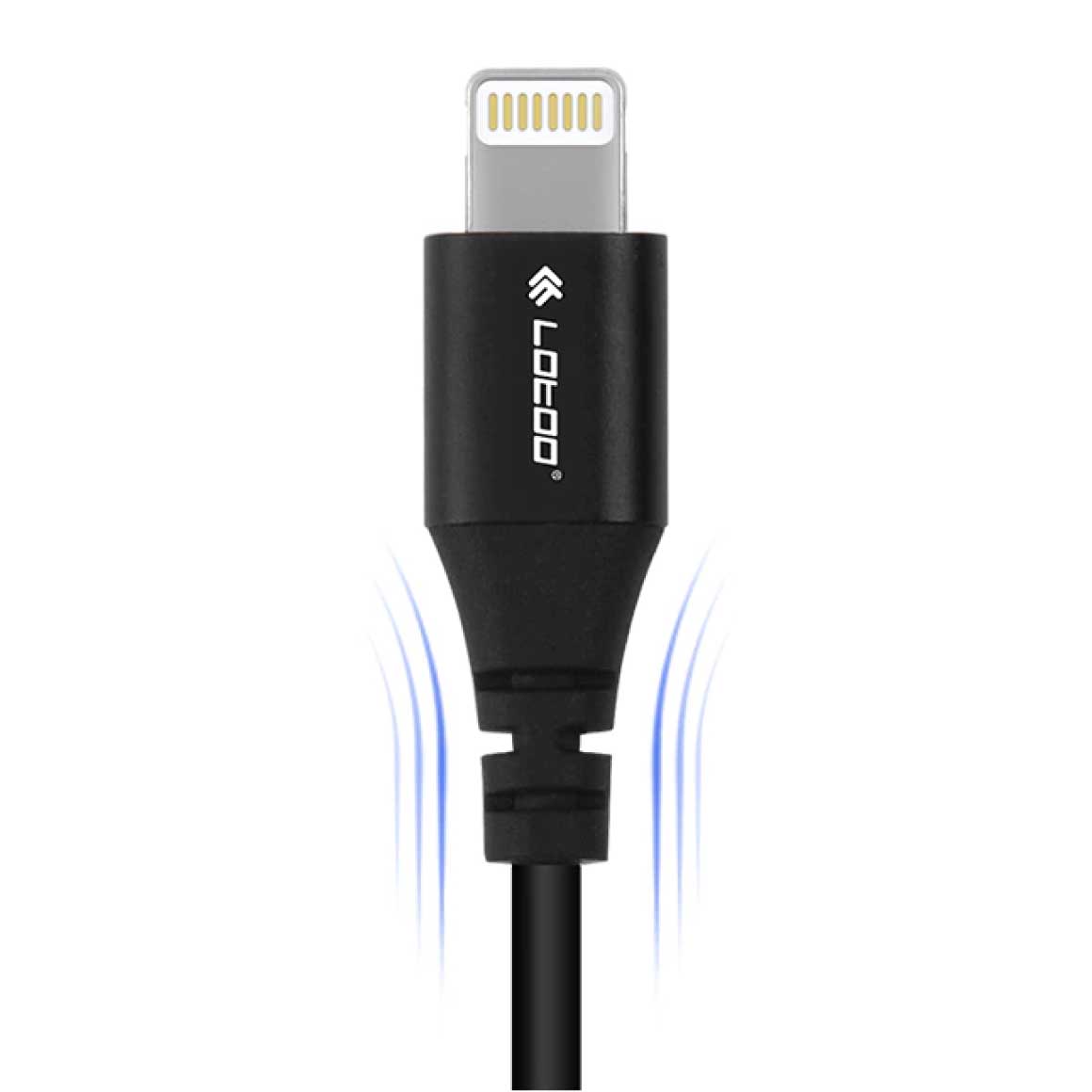 Headphone-Zone-Lotoo-Type-C to Lightning OTG Cable-6.5cm