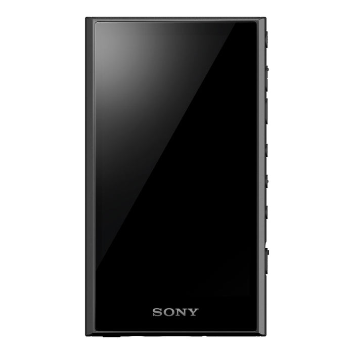 Sony NW-A306 Portable Audio Player